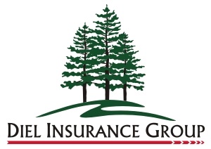 The Diel Insurance Group logo is a hill with three tall pine trees representing service, value, and relationships which matter to us and our partner insurance companies.